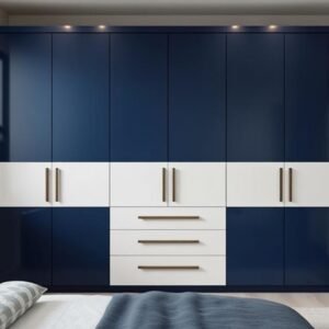 stylish two color wardrobe designs